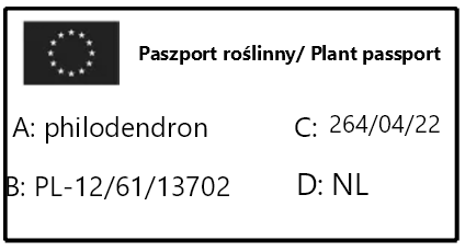 philodendron.png