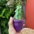 Myrtillocactus geometrizans 'Fukurokuryuzinboku' kaktus (1).jpg