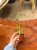 Monstera Burle Marx Flame (3).jpeg