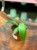 Philodendron Spiritus Sancti (4).jpeg