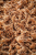 Mech Sphagnum (Torfowiec)