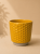 71c0e8ba-98a0-4c4d-8c66-26a68931965c.png