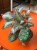 Episcia 'Shimmer'  (2).jpeg